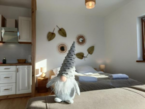 Apartament Dwa Słońca Gliczarów Górny